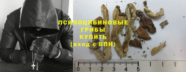 мдпв Кинешма