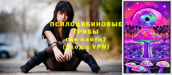a pvp Киренск