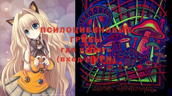 мдпв Кинешма