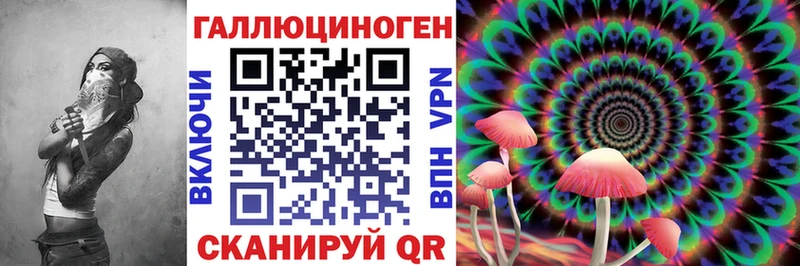 Псилоцибиновые грибы Psilocybine cubensis  Купить  Вязьма 